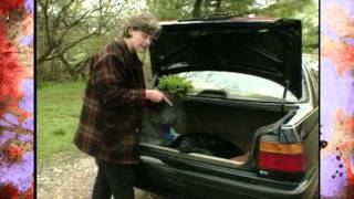 Transporting Plants [upl. by Garth]