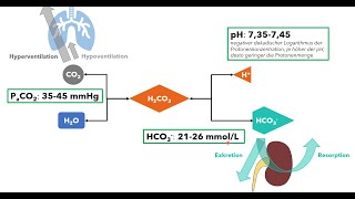 Blutgasanalyse Teil 2  SäureBasenHaushalt Einführung für das Medizinstudium [upl. by Keary646]