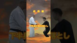 応用握手落としシリーズ2 No35 shorts martialarts [upl. by Buiron157]