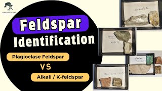 Feldspar  Plagioclase vs Alkali  kfeldspar Mineralogy in hand specimen amp thin section [upl. by Tonry]