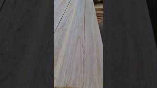 PAULOWNIA WOOD 2024 [upl. by Amadas]