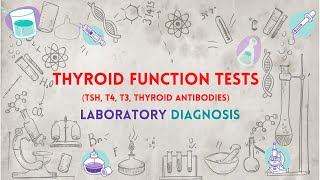 Thyroid Function Tests TSH T4 T3 Thyroid Antibodies  تحاليل وظائف الغدة الدرقية [upl. by Navada]