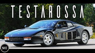 FERRARI TESTAROSSA 1991  Test drive in top gear  FLAT V12 Engine sound  SCC TV [upl. by Aratas]