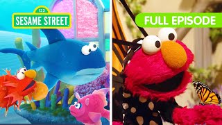 Elmos Animal Friends  FOUR Sesame Street Full Episodes [upl. by Chastity872]