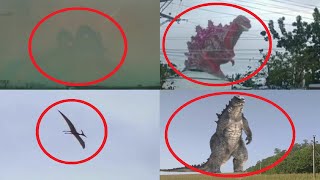 5 Godzilla Characters Caught on Camera amp Spotted in Real Life 5 [upl. by Lussier644]