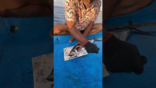 കേരത്തല വെട്ടിയാലോ shortsfeed fishingmalayalam malayalamfishingvideo fishing fishingshorts [upl. by Emogene]