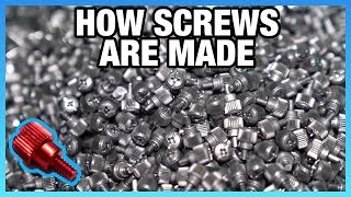 How Screws Are Made  Automated Factory Tour in China [upl. by Navy]