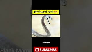 दुनिया के 3 सबसे जहरीले सांप 3 most venomous snakes in the world shorts [upl. by Aldous]