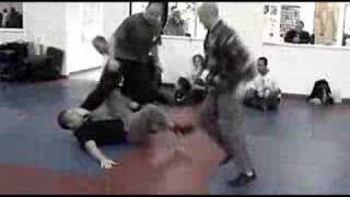 Scott Sonnon Softwork Fighting Martial Art [upl. by Nmutua]