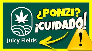 ❌ JUICY FIELDS El “negocio” sobre MARIHUANA que huele a PONZI [upl. by Terence]