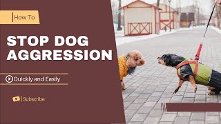 How to stop Dog Aggression quickly And easily  In a few steps [upl. by Ijan625]