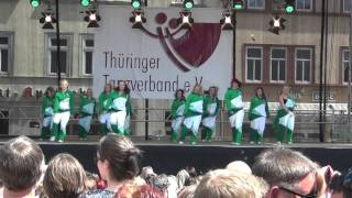 NRGDance Crew Rudolstadt Tanzwettbewerb 2011 HipHop [upl. by Bunow214]