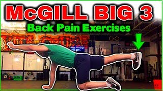 The McGill Big 3  Best Exercises to ReducePrevent Back Pain [upl. by Andromache992]