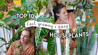 10 Fast Growing EASY Indoor Plants 🌿 Easiest  Fastest Growing Houseplants [upl. by Garibold]