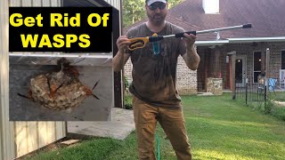 Never Buy WASP Spray again  Eliminate WASP Nests Fast [upl. by Zampardi]