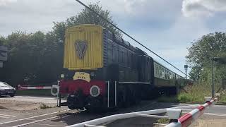 New Barriers amp Alarms Wallingford Level Crossing Oxfordshire Sunday 03092023 [upl. by Lucio]