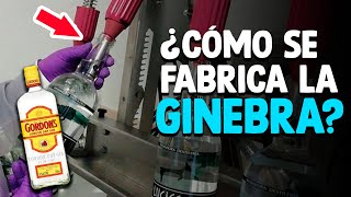 Como Se Fabrica La GINEBRA Proceso En Fábrica [upl. by Enobe]