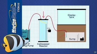 How to Use a Kalkwasser Reactor to Maintain Calcium amp Alkalinity [upl. by Neret978]