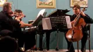 THE PADEREWSKI TRIO chamber music m1 [upl. by Brade]