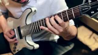 ᴴᴰ VITALISM  GRADUS  GUITAR PLAYTHROUGH OFFICIAL [upl. by Airdnaxila]