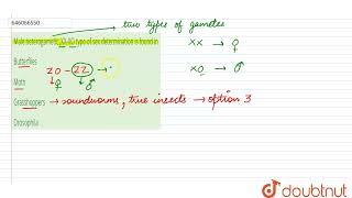 Male heterogametic XXXO type of sex determination is found in  12  CHROMOSOMAL BASIS OF INH [upl. by Yadrahs]