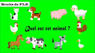 【Bruits de FLE】 Quel est cet animal  les animaux domestiques [upl. by Yasnyl100]