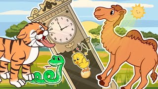 Wild Hickory Dickory Dock with Camel Snake amp Tiger  MORE Other Nursery Rhymes  Animal Time [upl. by Dedra253]