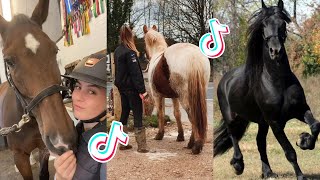 The Cutest HORSES Equestrian TikTok Compilation 109 [upl. by Kendall]