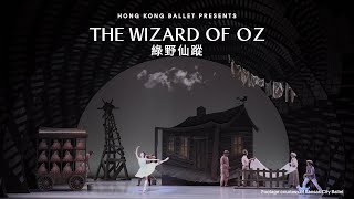 THE WIZARD OF OZ [upl. by Okihcas]