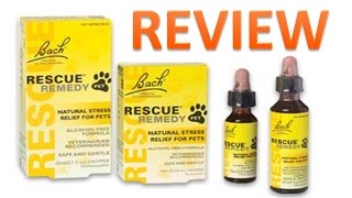 Bach Rescue Remedy Flower Essences 20ml Review [upl. by Anitrebla482]