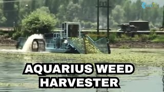 How Cleantec Infra cleaned JampKs Dal Lake with its Aquarius Weed Harvester [upl. by Pilif]