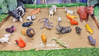 Muddy Adventures with Farm amp Zoo Animals for Toddlers 🐮🦎 Learn Play amp Laugh with Amazing Animals [upl. by Naibaf]