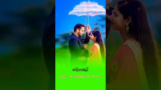 ସେଇ ଛୁଟଘରେ ତୁମ ସାଥିରେ Sei Chhutaghare Tuma Sathire  Odia Old Albums Song  Love Filling YouTube [upl. by Ennovyahs]