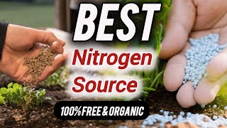 top 6 free Organic nitrogen source for plants  no cost [upl. by Skillern]