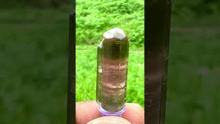 Natural Bicolor Tourmaline Crystal tourmaline tourmalinecrystal crystals gemstone short viral [upl. by Chilt730]