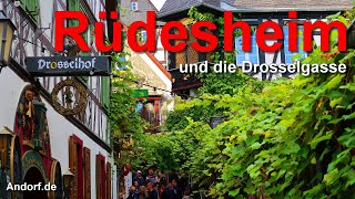 Rüdesheim und die Drosselgasse [upl. by Eninej]