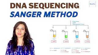 Dideoxy DNA Sequencing  Sanger method [upl. by Akinat]