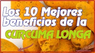 los Mejores 10 Beneficios Para La Salud De La Curcuma Longa [upl. by Suellen]