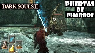 Dark Souls 2 guia PUERTAS DE PHARROS  Gameplay y secretos Qué puertas hay que abrir  Ep49 [upl. by Eloken]