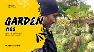 Village garden tour in tamil  தோட்டக் காணொளி [upl. by Asssilem]