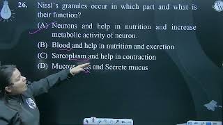 Nissl s granules occur in which part and what is their function [upl. by Rosetta]