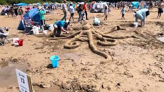 New River Beach Sand Sculpture Competition 2024 [upl. by Cranston]