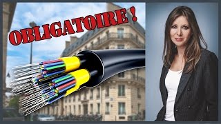 La fibre optique obligatoire dans tous les immeubles rénovés [upl. by Hibben]