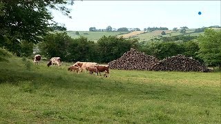 Yonne  vacances au pays de Vézelay  Episode 4 [upl. by Anma631]