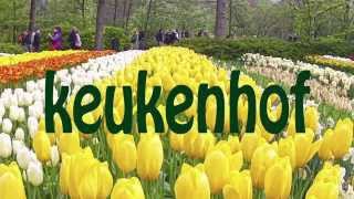 Keukenhof is de Tuin van Europa is een van de grootste bloementuin van de wereld [upl. by Egidio]