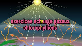 exercices dapplication de cours echanges gazeux chlorophylliens [upl. by Aivirt444]