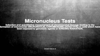 Medical vocabulary What does Micronucleus Tests mean [upl. by Sulohcin68]