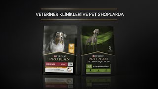 Köpeğinizin Hep Güçlü Ve Sağlıklı Görünmesi İçin Yüksek Kaliteli PRO PLAN İle Besleyin [upl. by Llesram]