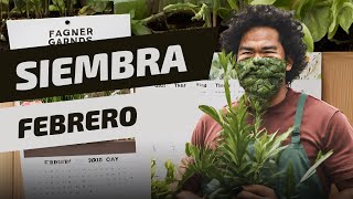 Calendario de siembra 👨🏽‍🌾 del mes de FEBRERO 💚  Qué sembrar en mi huerto urbano FACIL Y RAPIDO 🌱 [upl. by Jaye]