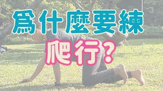 為什麼要練爬行 教你快速學會爬行 ▏北木健身 [upl. by Jovi]